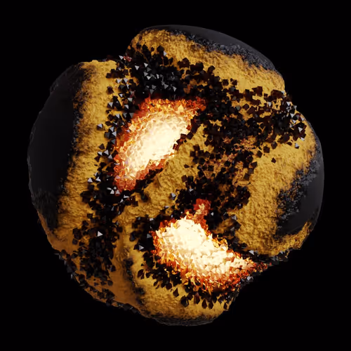 Asm Gen Ii Brains