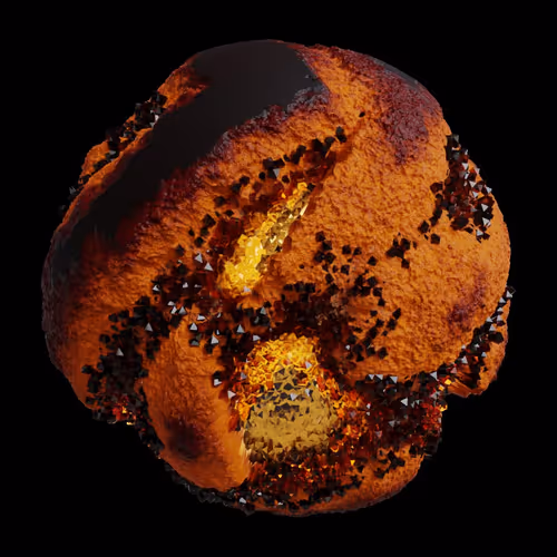 Asm Gen Ii Brains