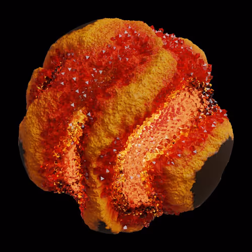 Asm Gen Ii Brains