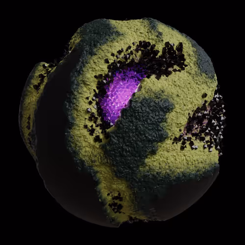 Asm Gen Ii Brains