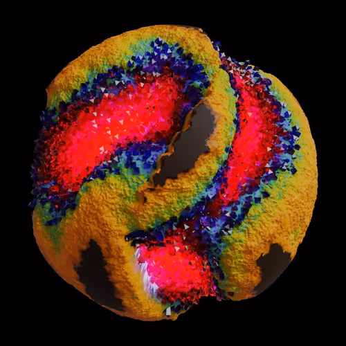Asm Gen Ii Brains