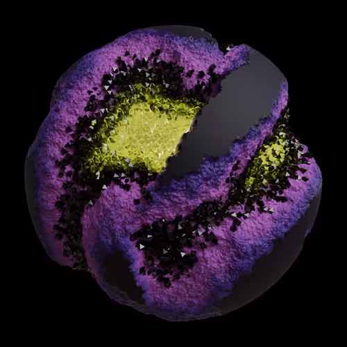 Asm Gen Ii Brains