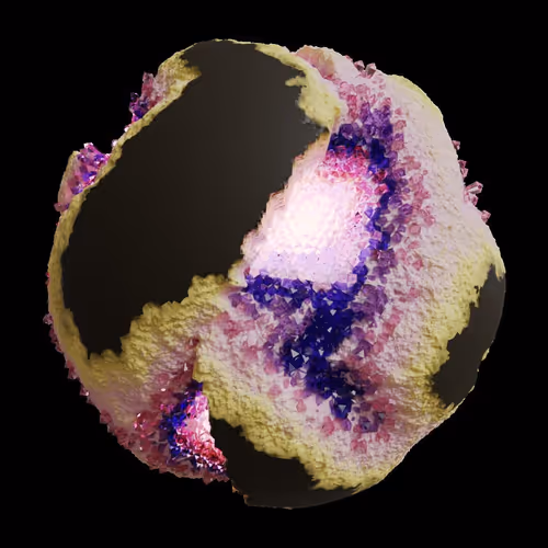 Asm Gen Ii Brains