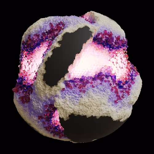 Asm Gen Ii Brains