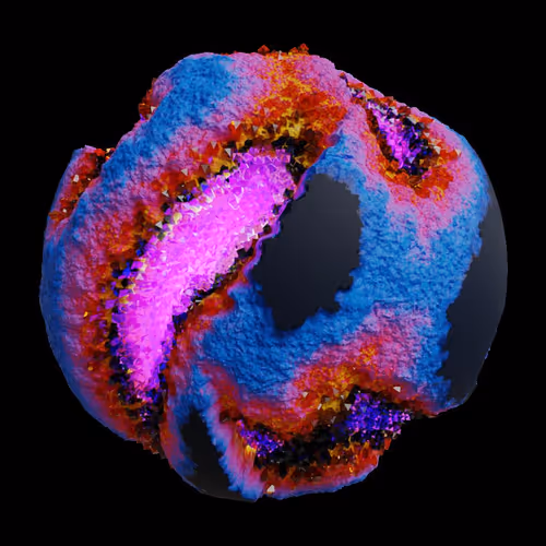 Asm Gen Ii Brains