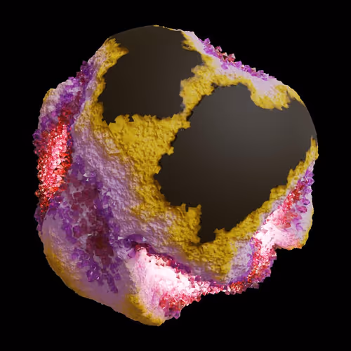 Asm Gen Ii Brains