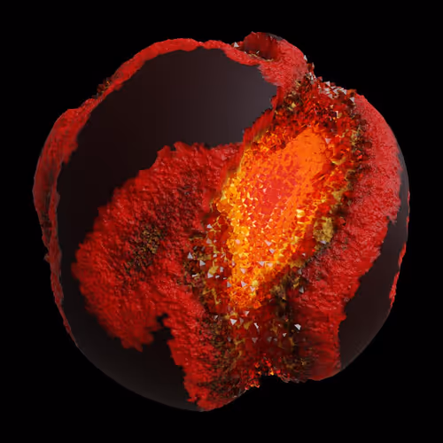 Asm Gen Ii Brains