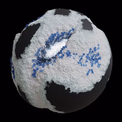 Asm Gen Ii Brains
