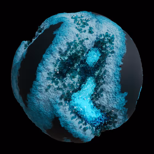 Asm Gen Ii Brains