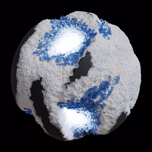 Asm Gen Ii Brains