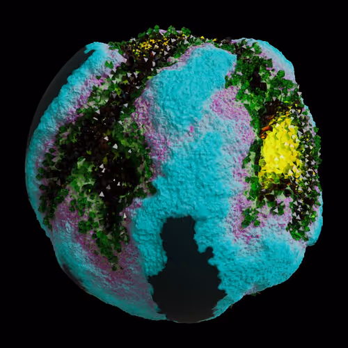 Asm Gen Ii Brains
