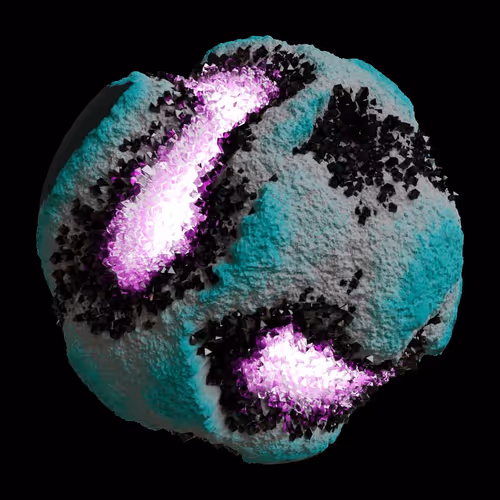 Asm Gen Ii Brains