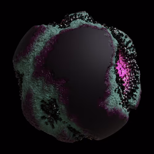 Asm Gen Ii Brains