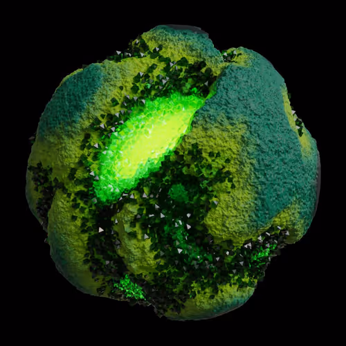 Asm Gen Ii Brains
