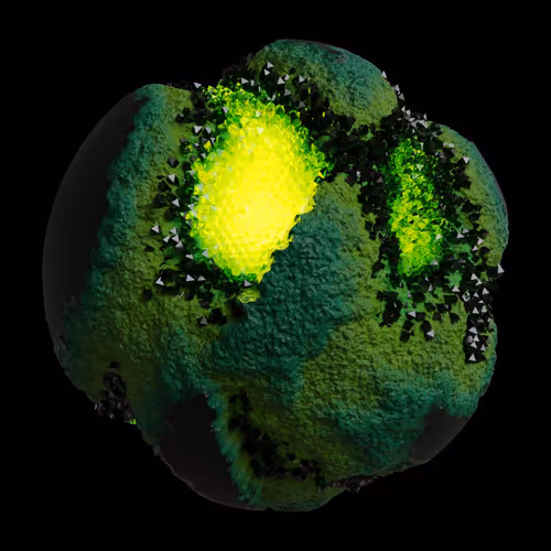 Asm Gen Ii Brains