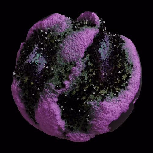 Asm Gen Ii Brains