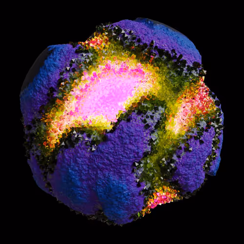 Asm Gen Ii Brains