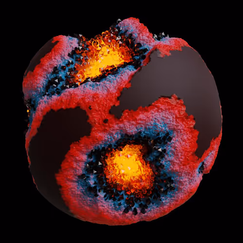 Asm Gen Ii Brains