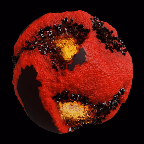 Asm Gen Ii Brains