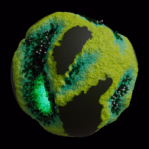 Asm Gen Ii Brains