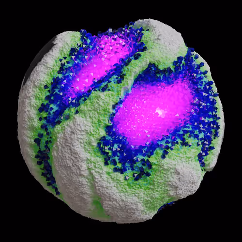 Asm Gen Ii Brains