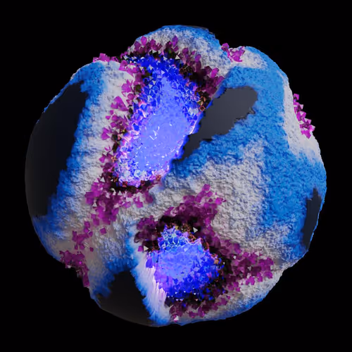 Asm Gen Ii Brains