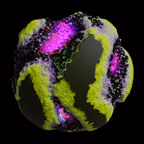 Asm Gen Ii Brains