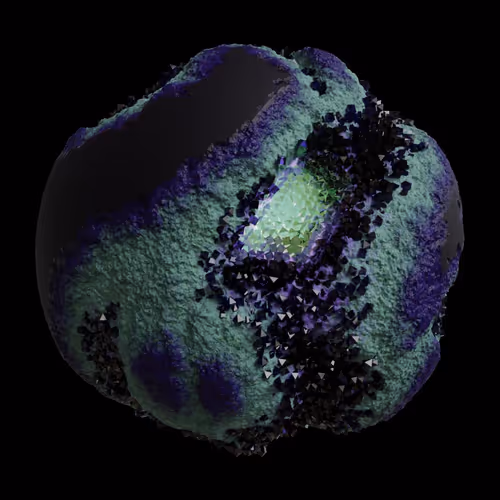 Asm Gen Ii Brains
