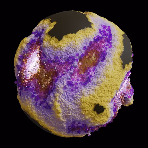 Asm Gen Ii Brains