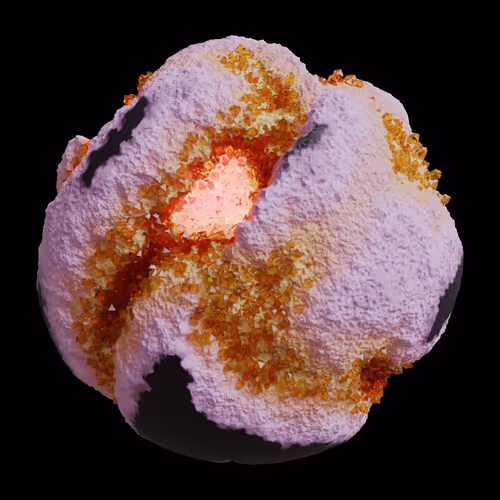 Asm Gen Ii Brains