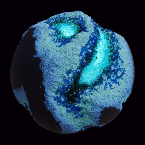 Asm Gen Ii Brains