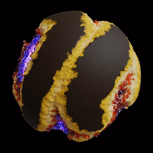 Asm Gen Ii Brains