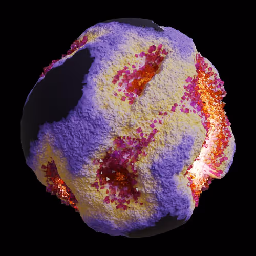 Asm Gen Ii Brains