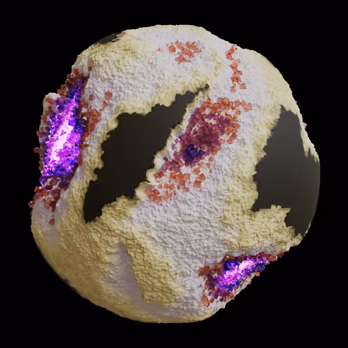 Asm Gen Ii Brains