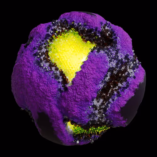 Asm Gen Ii Brains