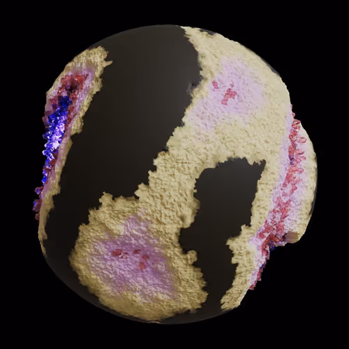 Asm Gen Ii Brains