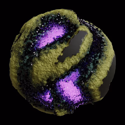 Asm Gen Ii Brains