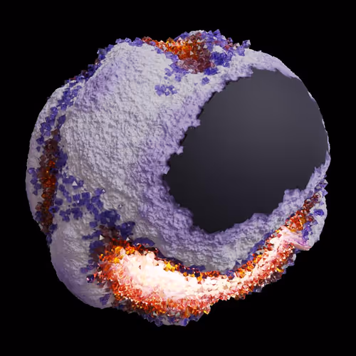 Asm Gen Ii Brains