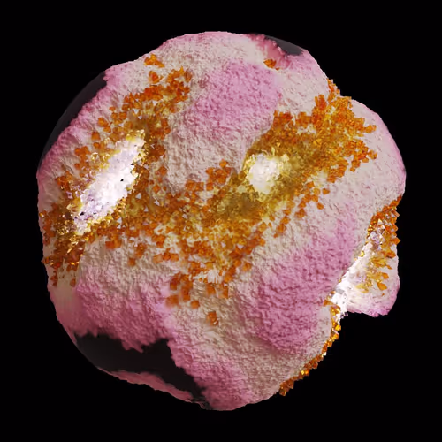 Asm Gen Ii Brains