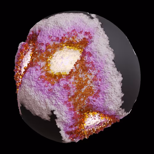 Asm Gen Ii Brains