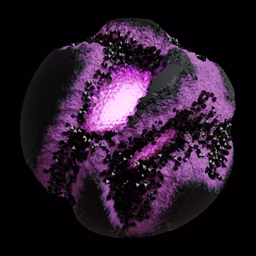 Asm Gen Ii Brains