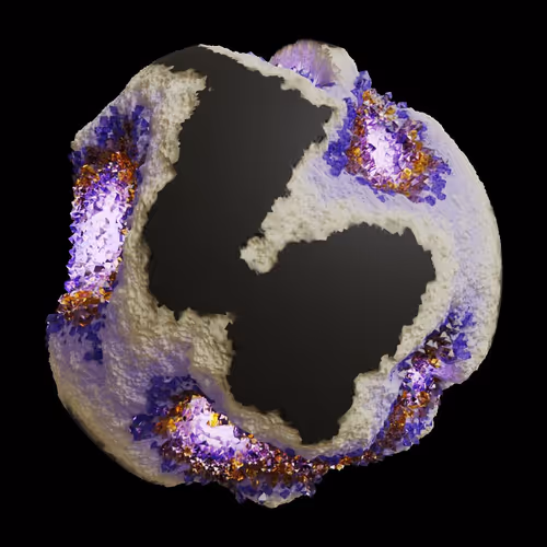 Asm Gen Ii Brains