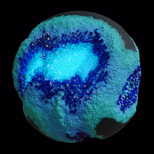 Asm Gen Ii Brains