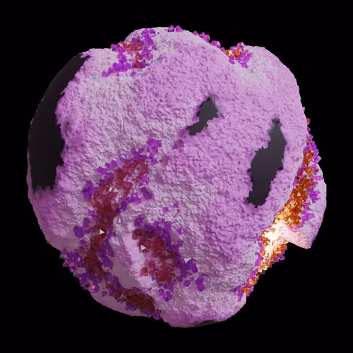 Asm Gen Ii Brains