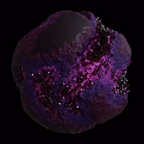 Asm Gen Ii Brains