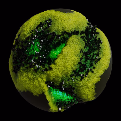 Asm Gen Ii Brains