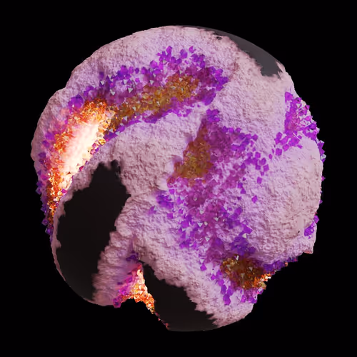 Asm Gen Ii Brains