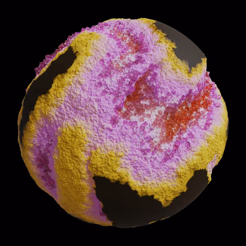 Asm Gen Ii Brains