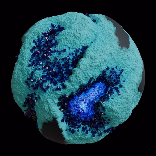 Asm Gen Ii Brains