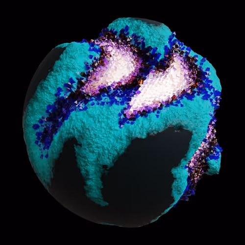 Asm Gen Ii Brains